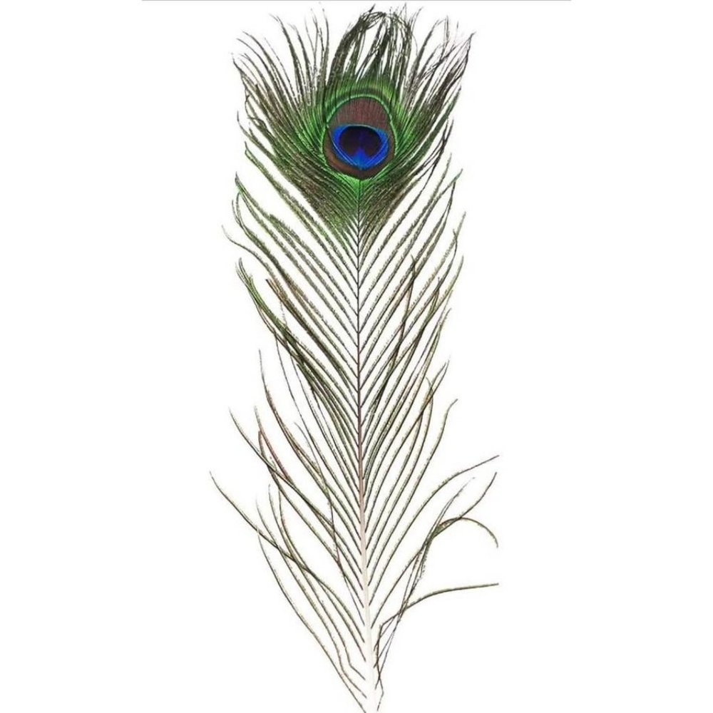 50 Count | Peacock GREEN Blue Feathers 10-12 inches for Wedding Decor - Picture 4 of 7